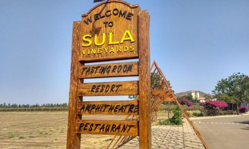 In India, wine culture takes off — with a vineyard scene that’s worth a trip