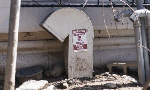 Opinion: One Way To Stop The Rats? Turn Away From Fines.