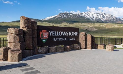 7 people are dead after pickup and tour van collide near Yellowstone, police say