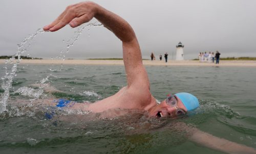 Doing it for the sharks