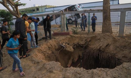 Who is Mohammed Sinwar, the Hamas leader Israel says it killed?