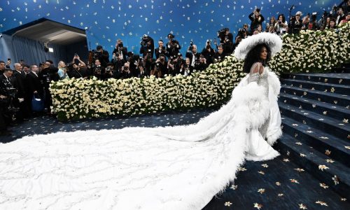 Stars stand out on Met Gala red carpet