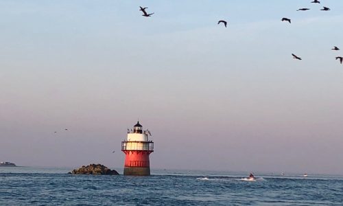 You don’t need your own boat to take to the seas off Massachusetts