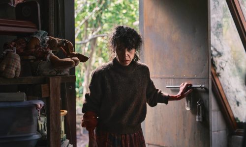 Philippou twins refine grisly touch in ‘Bring Her Back’