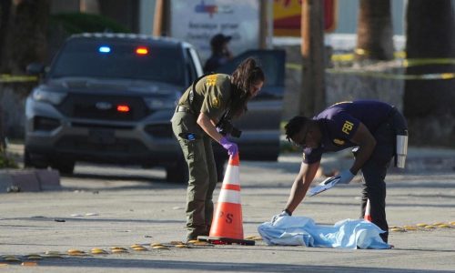 Authorities analyzing nihilistic writings of suspect in California fertility clinic bombing