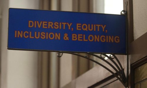 As Trump targets DEI, Republican-led states intensify efforts to stamp it out