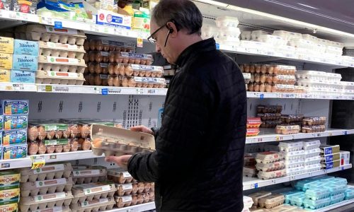 US egg prices fall for the first time in months but remain near record highs