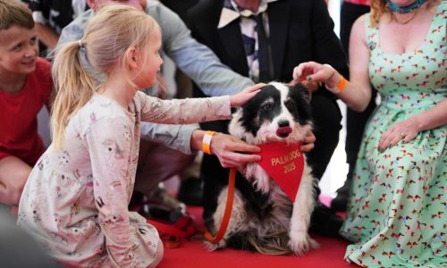 Panda wins the 2025 Palm Dog award at Cannes — and a look-alike accepts