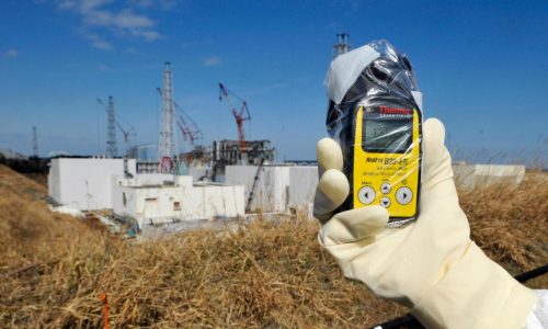 Slightly radioactive soil from Fukushima will be used in the prime minister’s flower beds