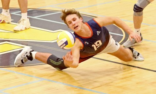 Top-ranked Brookline boys avenge only volleyball loss, down Needham 3-0