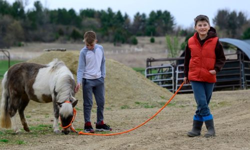 Boy with autism’s equine experience leads Stillwater mom to offer free horse visits