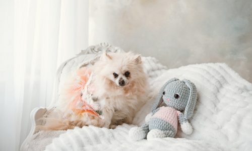 Our Morning Report newsletter featured 23 of our readers’ pets in April