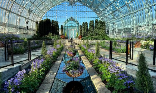 Five local places to take Mom to see flowers on Mother’s Day weekend