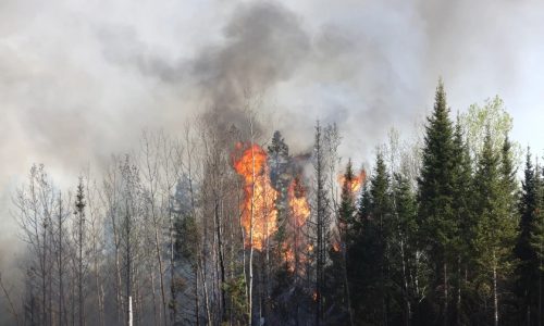 Camp House fire in northern MN grows to 12,000 acres, destroys over 40 buildings