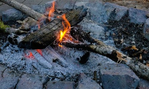 Northwoods comes to life with sounds of spring during evening by campfire