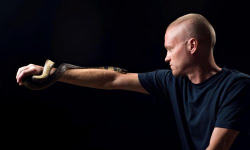 Snakes have bitten this man hundreds of times. His blood could help make a better treatment