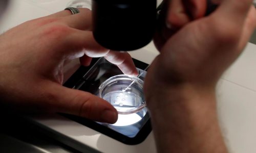 White House says Trump is reviewing IVF policy recommendations promised in executive order