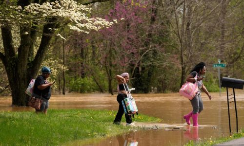 Scientific societies say they’ll do national climate assessment after Trump dismissed report authors