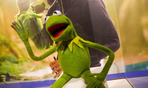 Kermit the Frog to deliver commencement address at the University of Maryland graduation