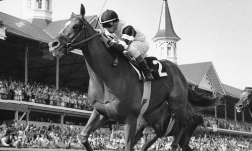 Kentucky Derby Winners past and present: Sovereignty to Secretariat