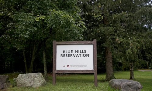 Massachusetts priest dies after crash near Blue Hills Reservation in Milton