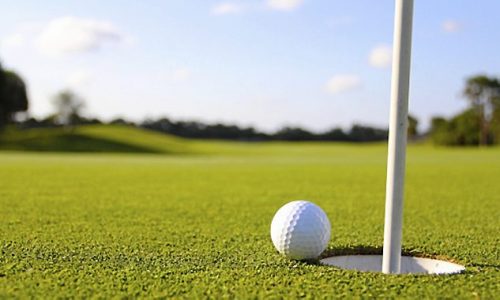 State golf tournament: Cretin-Derham Hall’s Udovich, Forest Lake’s Leonhart lead after Day 1