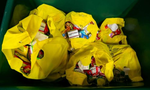 SNAP Under Attack: What Federal Cuts to Food Aid Would Mean for NYC