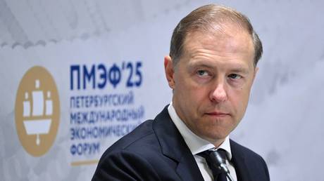 Russia is open to ‘smart’ foreign investment – first deputy PM 