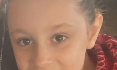 Active, playful Emily shines in the spotlight