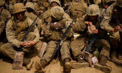 Gaskin: America’s diet putting our military at risk