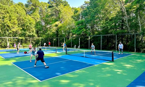 Try these great pickleball adventures perfect for newbies and pros alike