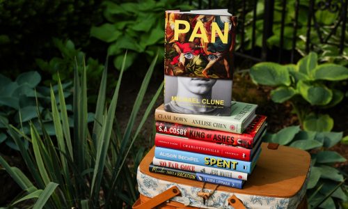 A bounty of books in time for summer reading