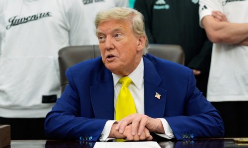 Langer: How Trump can cut prices amid a trade war