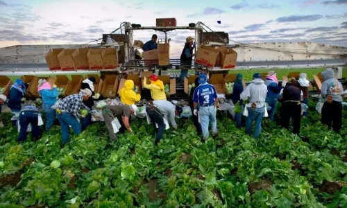 DOL Suspends Enforcement of Biden-Era Farmworker Rule