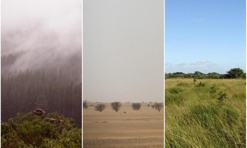 Early humans survived in a range of extreme environments before global migration, study says