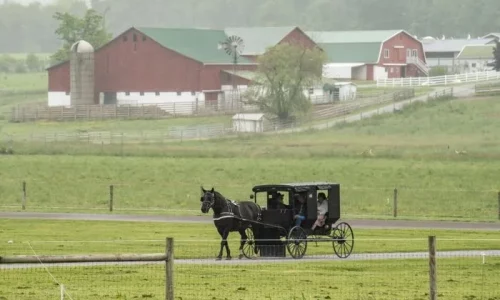Food Independence Summit Teaches a Return to Self-Sufficient Roots