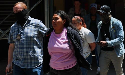 Protesters decrying ICE arrests taken into custody in lower Manhattan