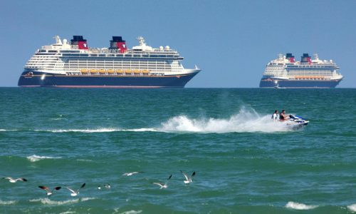 Disney cruise ship rescue team saves girl and father after overboard fall