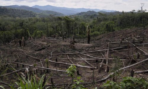 Cuts to USAID severed longstanding American support for Indigenous people around the world