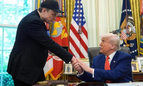 Republicans urge Donald Trump and Elon Musk to end their feud