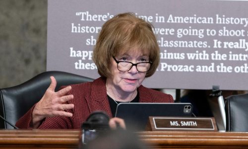 Congress is holding emergency briefings on security after Minnesota shootings