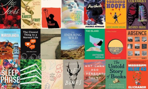 33 new books you’ll want to read this summer from independent publishers