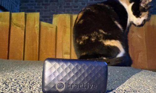 One Tech Tip: No more lost cats and dogs. Use tech to track your pet