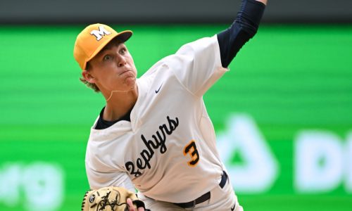 State baseball tournament: An Easter Metro primer