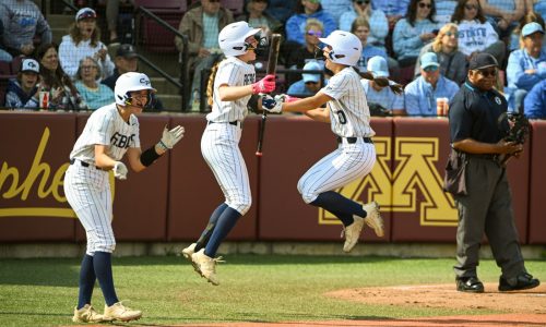 State softball: Husom does it with bat and glove, Champlin Park rules 4A