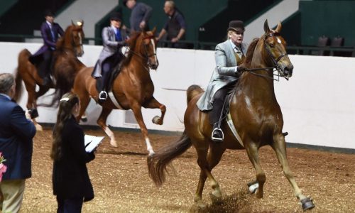 What spaces and places built memories for you, Minnesota? Share them with the North Star Story Map