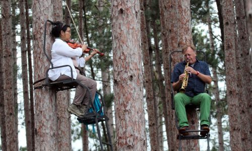 Music in the Trees returning to Belwin Conservancy in Afton