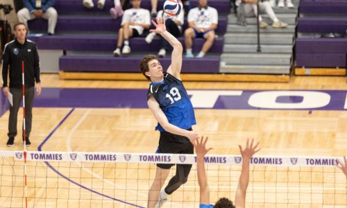 State volleyball: Eastview sweeps past Hopkins into semifinals