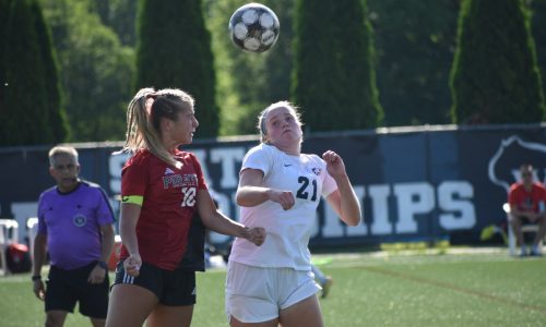 Wisconsin high school soccer: Pewaukee beats River Falls to reach state title game