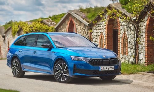 Bosnia & Herzegovina May 2025: Skoda Octavia and Fabia dominate